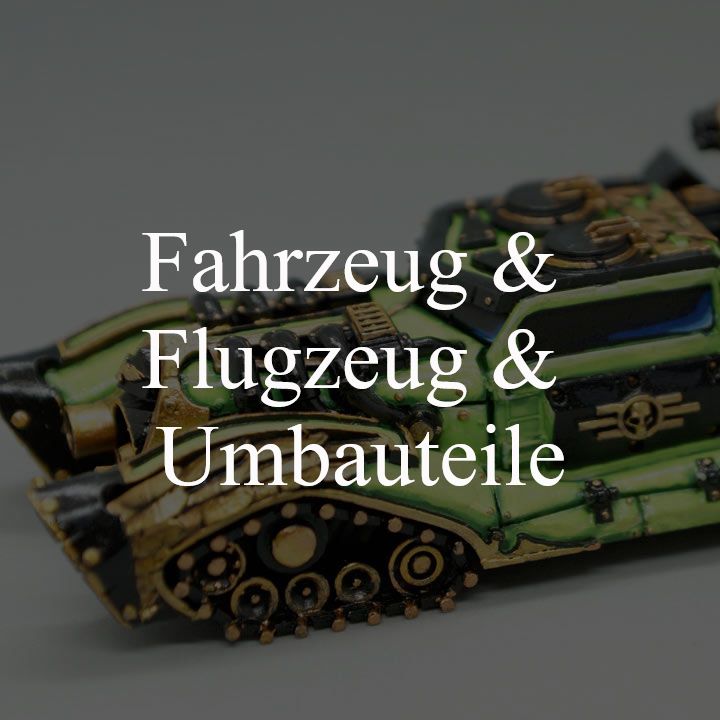 Fahrzeug