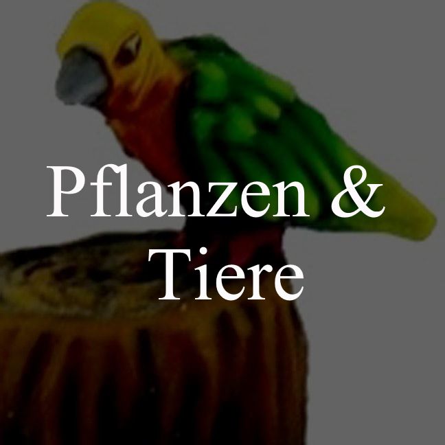 Pflanzen und Tiere
